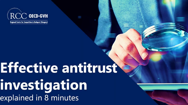 Effective Antitrust Investigations kép